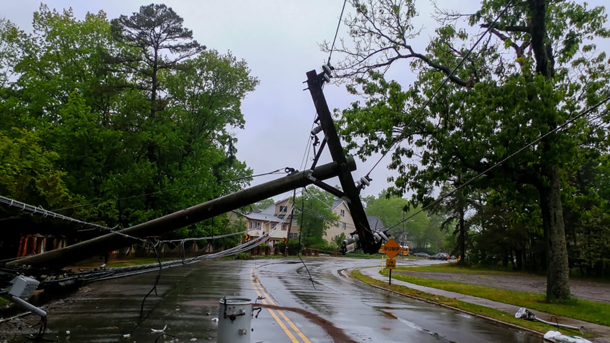 transformer on a electric poles and a tree laying across power lines over a road after a hurricane